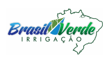 logo-brasil-verde